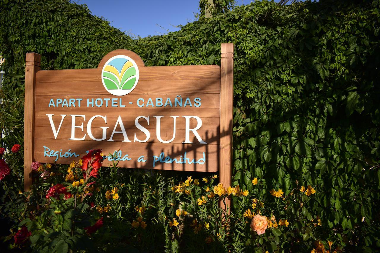 Apart Hotel Y Cabanas Vegasur La Serena Exterior foto